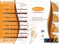 fitfood_brossura_page1_0415-copy